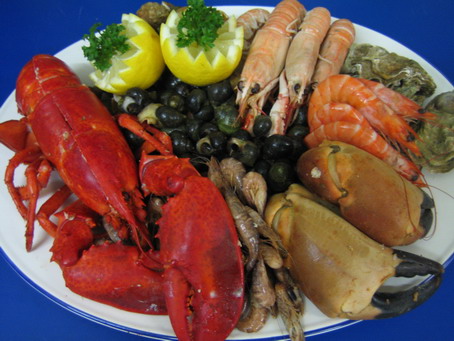 plats4_005_resize-2-454x341.jpg
